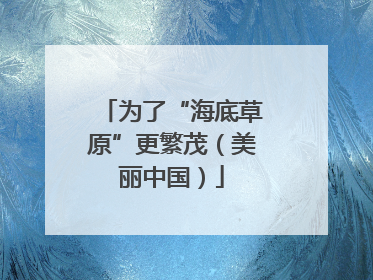为了“海底草原”更繁茂（美丽中国）