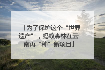 为了保护这个“世界遗产”，蚂蚁森林在云南再“种”新项目