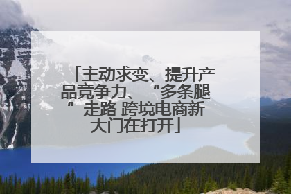 主动求变、提升产品竞争力、“多条腿”走路 跨境电商新大门在打开
