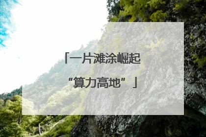 一片滩涂崛起“算力高地”