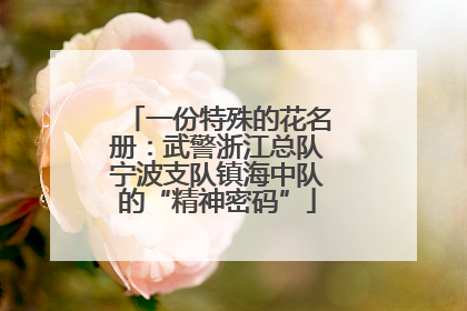 一份特殊的花名册：武警浙江总队宁波支队镇海中队的“精神密码”
