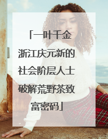 一叶千金 浙江庆元新的社会阶层人士破解荒野茶致富密码