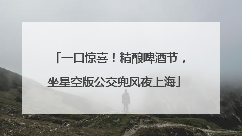 一口惊喜！精酿啤酒节，坐星空版公交兜风夜上海