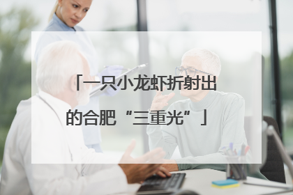 一只小龙虾折射出的合肥“三重光”