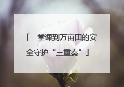 一堂课到万亩田的安全守护“三重奏”