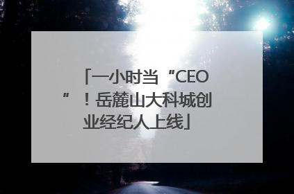 一小时当“CEO”！岳麓山大科城创业经纪人上线