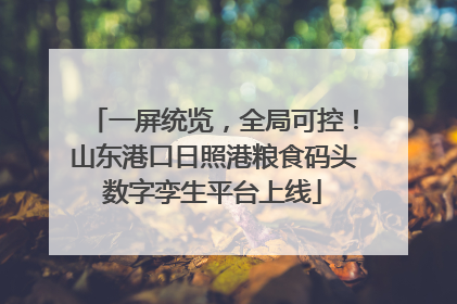 一屏统览，全局可控！山东港口日照港粮食码头数字孪生平台上线