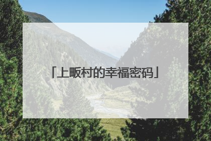 上畈村的幸福密码