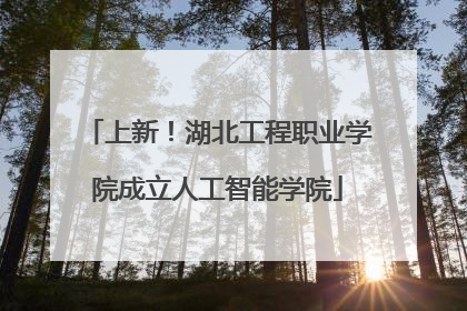 上新！湖北工程职业学院成立人工智能学院
