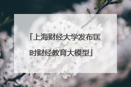 上海财经大学发布匡时财经教育大模型