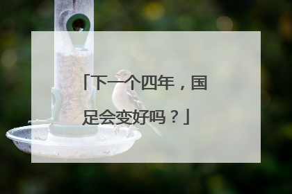 下一个四年，国足会变好吗？
