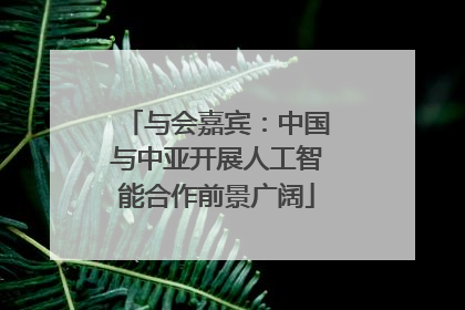 与会嘉宾：中国与中亚开展人工智能合作前景广阔