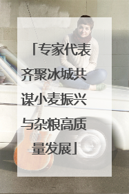 专家代表齐聚冰城共谋小麦振兴与杂粮高质量发展
