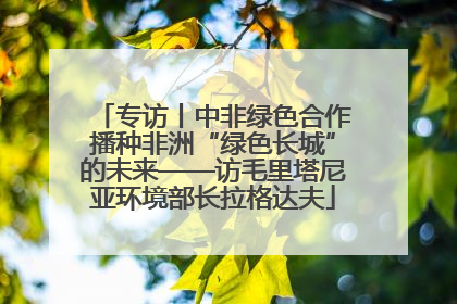专访丨中非绿色合作播种非洲“绿色长城”的未来——访毛里塔尼亚环境部长拉格达夫