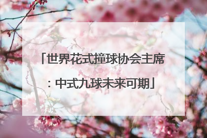 世界花式撞球协会主席：中式九球未来可期
