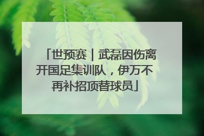 世预赛｜武磊因伤离开国足集训队，伊万不再补招顶替球员
