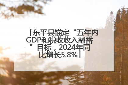 东平县锚定“五年内GDP和税收收入翻番”目标，2024年同比增长5.8%