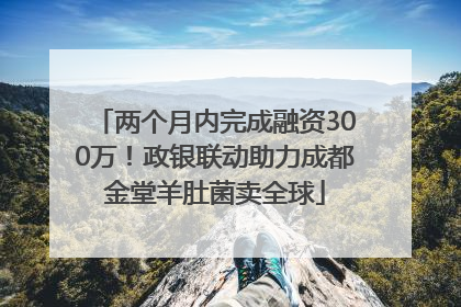 两个月内完成融资300万！政银联动助力成都金堂羊肚菌卖全球