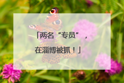 两名“专员”，在淄博被抓！