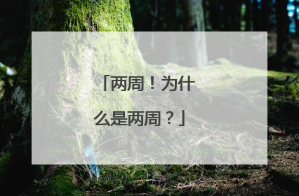 两周！为什么是两周？