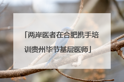 两岸医者在合肥携手培训贵州毕节基层医师