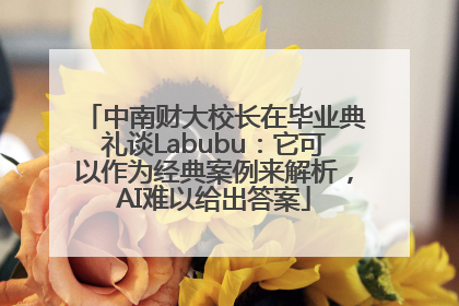 中南财大校长在毕业典礼谈Labubu：它可以作为经典案例来解析，AI难以给出答案