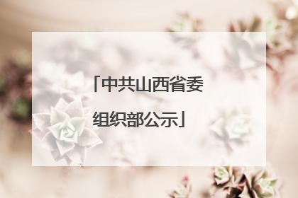 中共山西省委组织部公示
