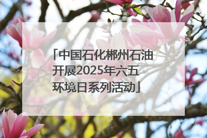 中国石化郴州石油开展2025年六五环境日系列活动