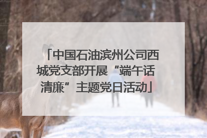 中国石油滨州公司西城党支部开展“端午话清廉”主题党日活动