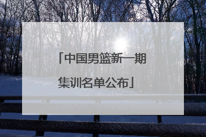 中国男篮新一期集训名单公布
