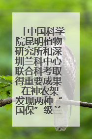 中国科学院昆明植物研究所和深圳兰科中心联合科考取得重要成果 在神农架发现两种“国保”级兰花