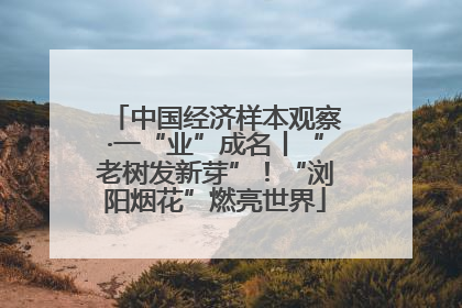 中国经济样本观察·一“业”成名丨“老树发新芽”！“浏阳烟花”燃亮世界