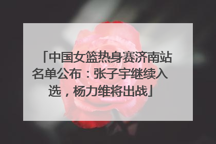 中国女篮热身赛济南站名单公布：张子宇继续入选，杨力维将出战