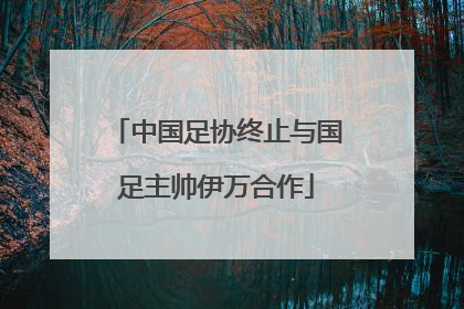 中国足协终止与国足主帅伊万合作