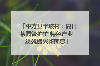 中方县半坡村：夏日茶园管护忙 特色产业绘就振兴新图景