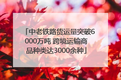 中老铁路货运量突破6000万吨 跨境运输商品种类达3000余种