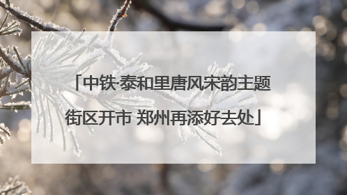 中铁·泰和里唐风宋韵主题街区开市 郑州再添好去处