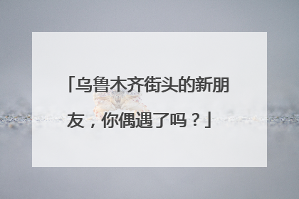乌鲁木齐街头的新朋友，你偶遇了吗？