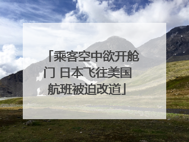 乘客空中欲开舱门 日本飞往美国航班被迫改道