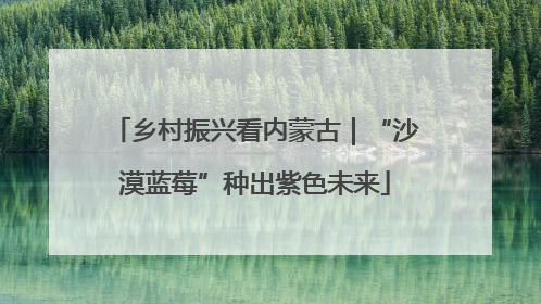 乡村振兴看内蒙古｜“沙漠蓝莓”种出紫色未来