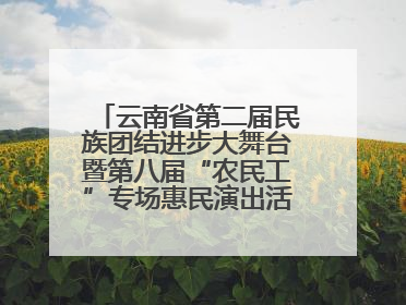 云南省第二届民族团结进步大舞台暨第八届“农民工”专场惠民演出活动启幕