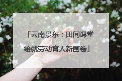 云南景东：田间课堂绘就劳动育人新画卷