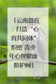 云南景谷：打造“心育共同体”织密 青少年心理健康防护网