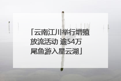 云南江川举行增殖放流活动 逾54万尾鱼游入星云湖