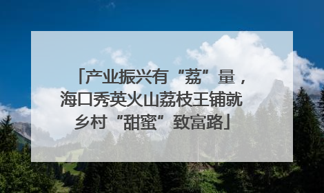 产业振兴有“荔”量，海口秀英火山荔枝王铺就乡村“甜蜜”致富路