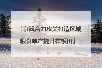 京冀合力攻关打造区域粮食单产提升样板田