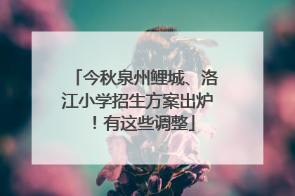今秋泉州鲤城、洛江小学招生方案出炉！有这些调整
