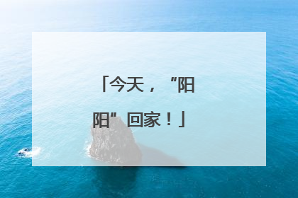 今天，“阳阳”回家！