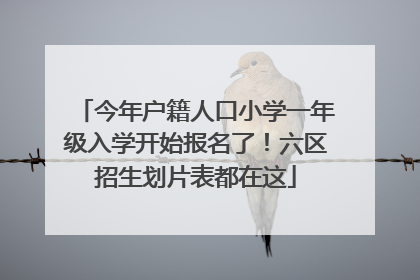 今年户籍人口小学一年级入学开始报名了！六区招生划片表都在这