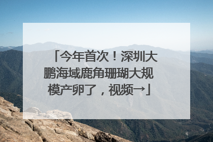 今年首次！深圳大鹏海域鹿角珊瑚大规模产卵了，视频→
